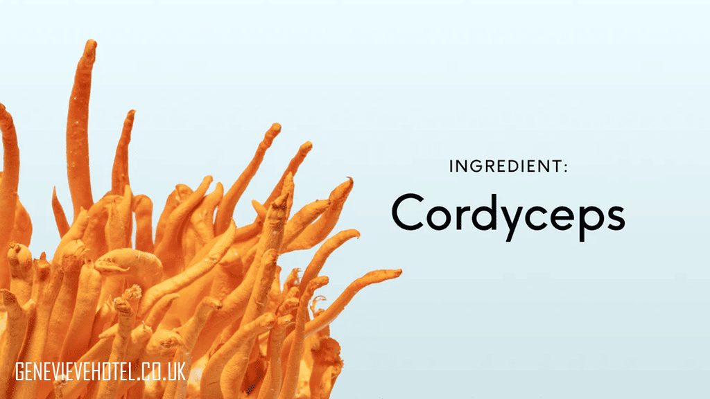 Cordyceps untuk Infeksi Saluran Pernapasan: Ini Manfaatnya