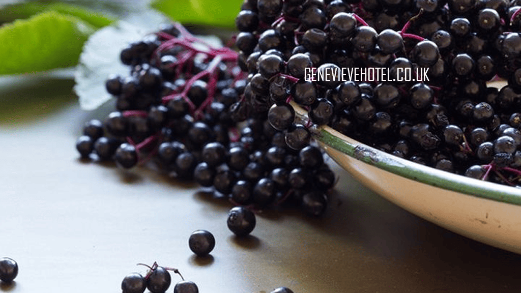 Meski Berukuran Kecil, Manfaat Elderberry untuk Kesehatan Sangat Melimpah