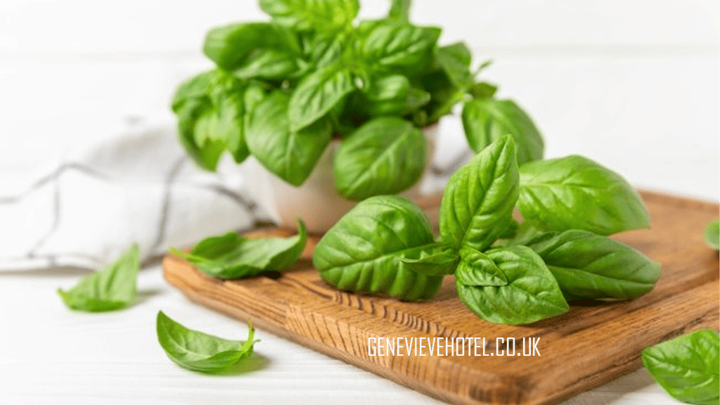 Daun Basil, Inilah Manfaat dan Tips Konsumsinya yang Aman