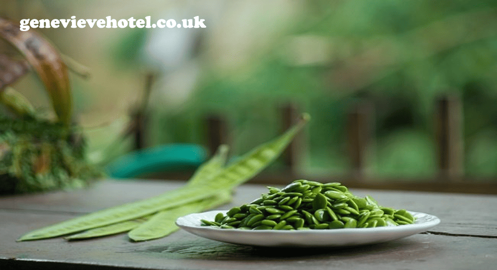genevievehotel.co
