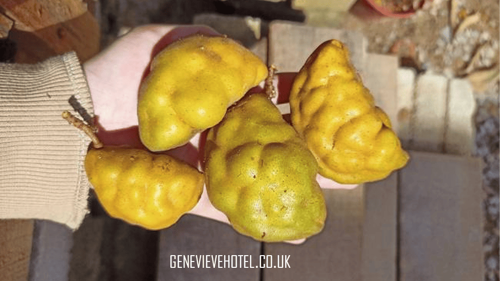 genevievehotel.co.uk