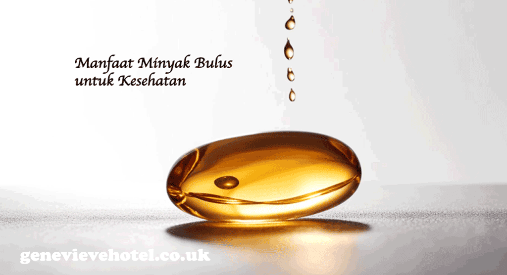 Manfaat Minyak Bulus untuk Kesehatan