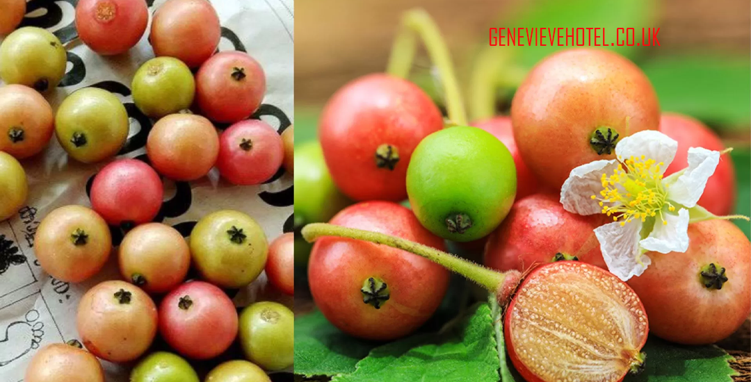 Buah Kersen