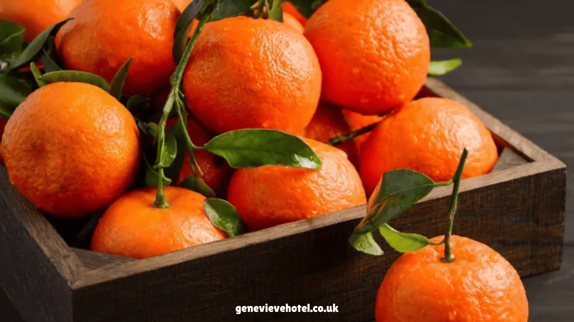 Ragam Manfaat Jeruk Tangerine yang Segar dan Manis