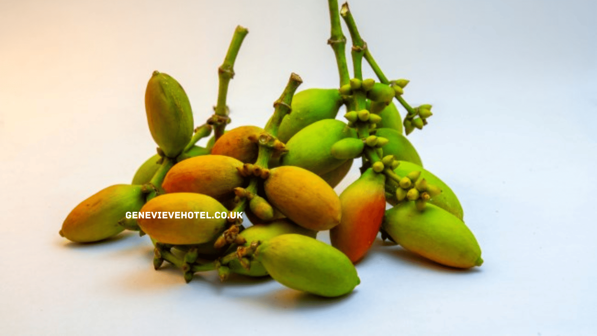 Melinjo: Manfaat, Efek Samping, dan Cara Mengolahnya