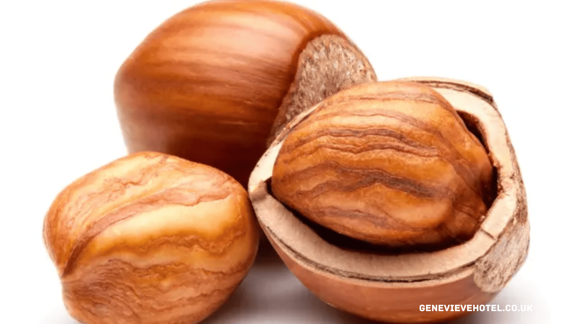 Manfaat Kacang Hazelnut Bagi Kesehatan Tubuh